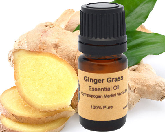 Ginger Essential Oil 5 ml, 10ml or 15 ml
